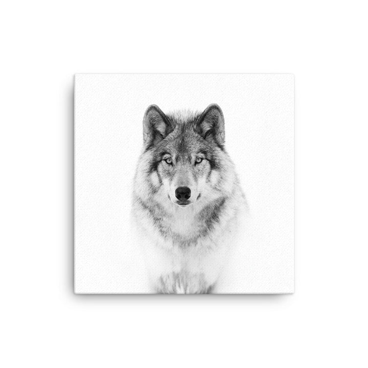 Leinwand - Calm Wolf Kuratoren von artlia 41x41 cm artlia