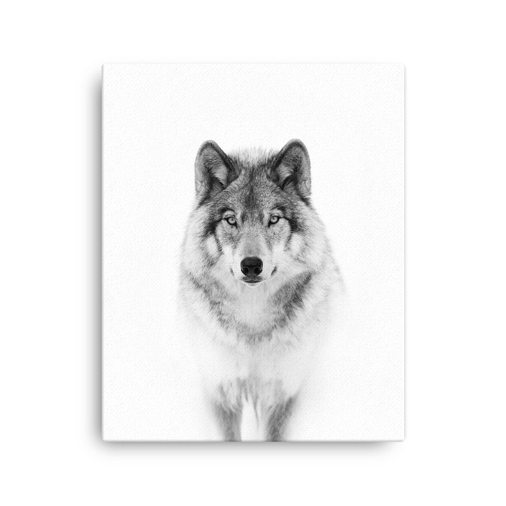 Leinwand - Calm Wolf Kuratoren von artlia 41x51 cm artlia