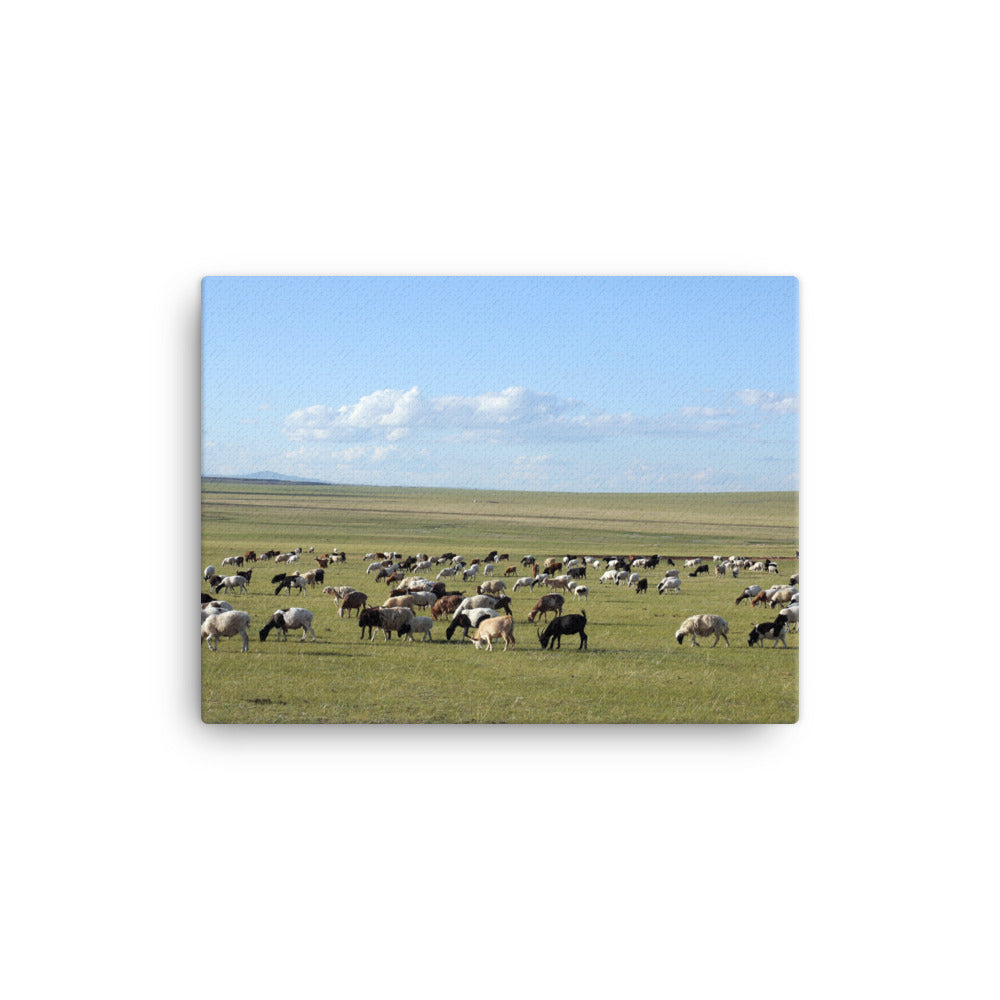 Leinwand - Herd of sheep graze in Mongolian steppe Young Han Song 30x41 cm artlia