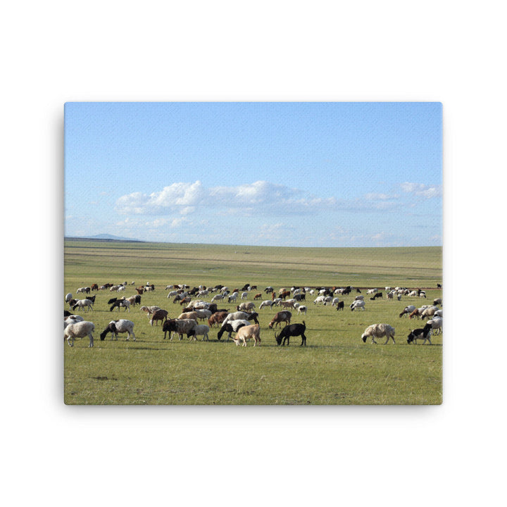 Leinwand - Herd of sheep graze in Mongolian steppe Young Han Song 41x51 cm artlia