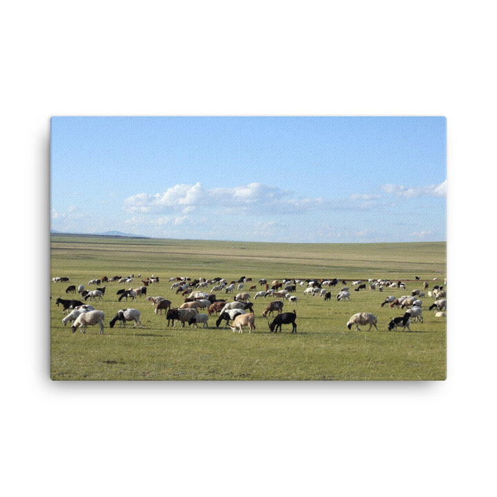 Leinwand - Herd of sheep graze in Mongolian steppe Young Han Song 61x91 cm artlia