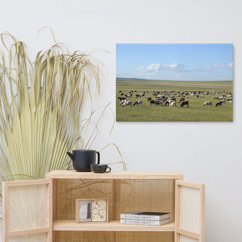 Leinwand - Herd of sheep graze in Mongolian steppe Young Han Song artlia