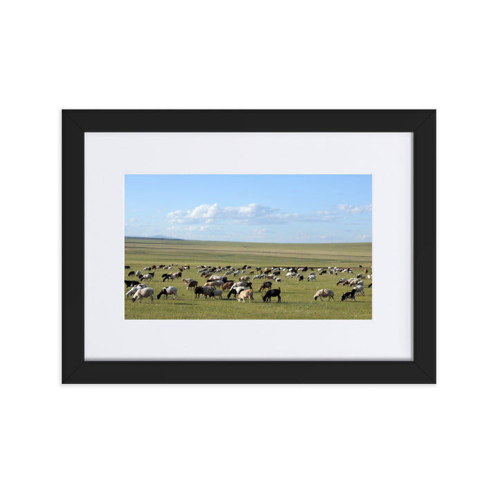 Poster mit Passepartout - Herd of sheep graze in Mongolian steppe Young Han Song Schwarz / 21×30 cm artlia