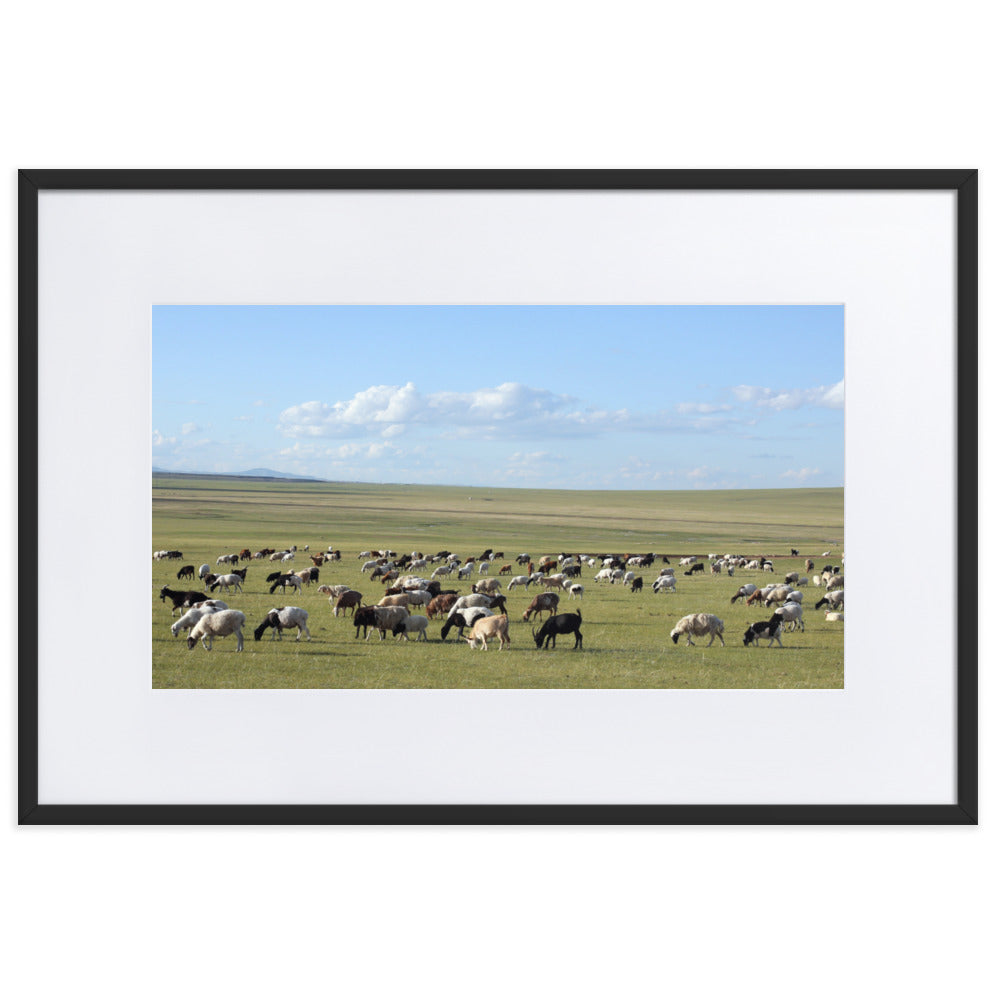 Poster mit Passepartout - Herd of sheep graze in Mongolian steppe Young Han Song Schwarz / 61×91 cm artlia