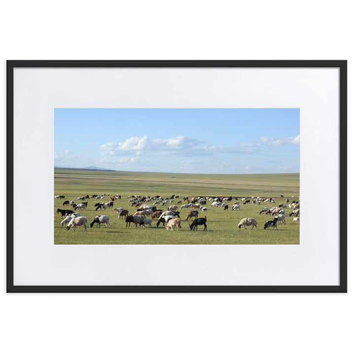 Poster mit Passepartout - Herd of sheep graze in Mongolian steppe Young Han Song Schwarz / 61×91 cm artlia