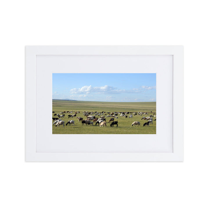 Poster mit Passepartout - Herd of sheep graze in Mongolian steppe Young Han Song Weiß / 21×30 cm artlia