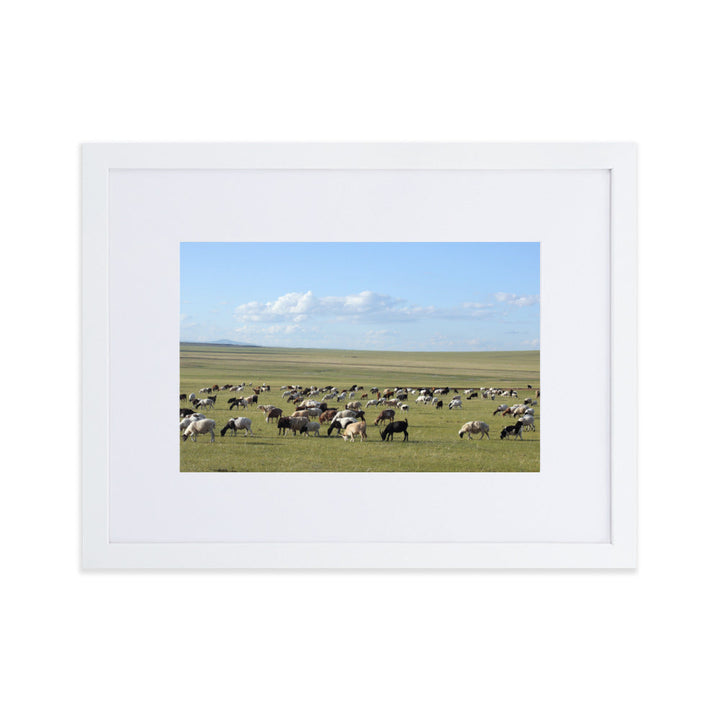 Poster mit Passepartout - Herd of sheep graze in Mongolian steppe Young Han Song Weiß / 30×40 cm artlia
