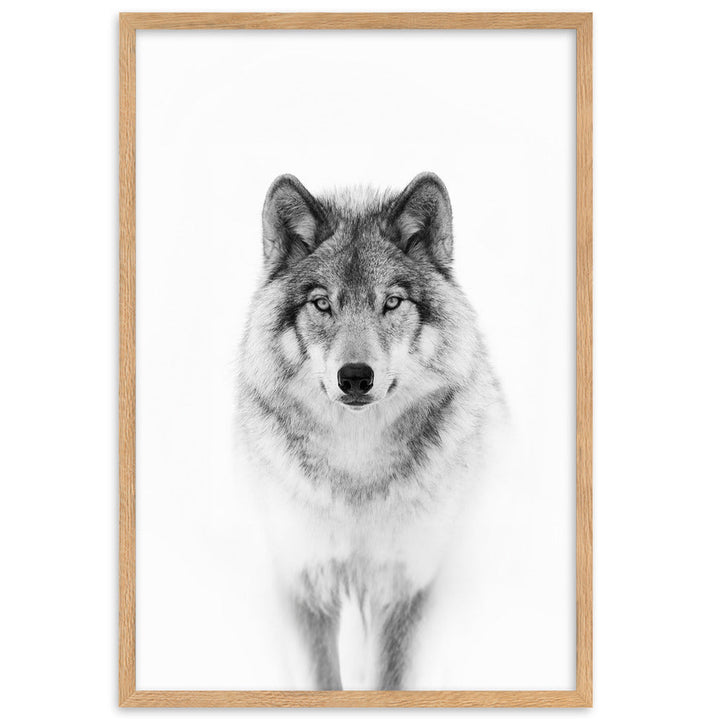 Poster mit Rahmen - Calm Wolf Kuratoren von artlia Oak / 61×91 cm artlia