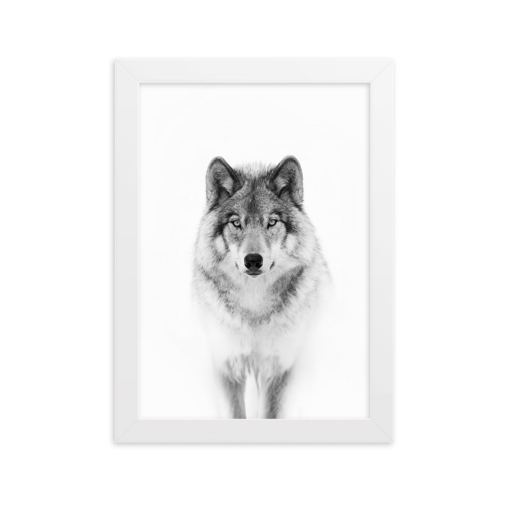 Poster mit Rahmen - Calm Wolf Kuratoren von artlia Weiß / 21×30 cm artlia