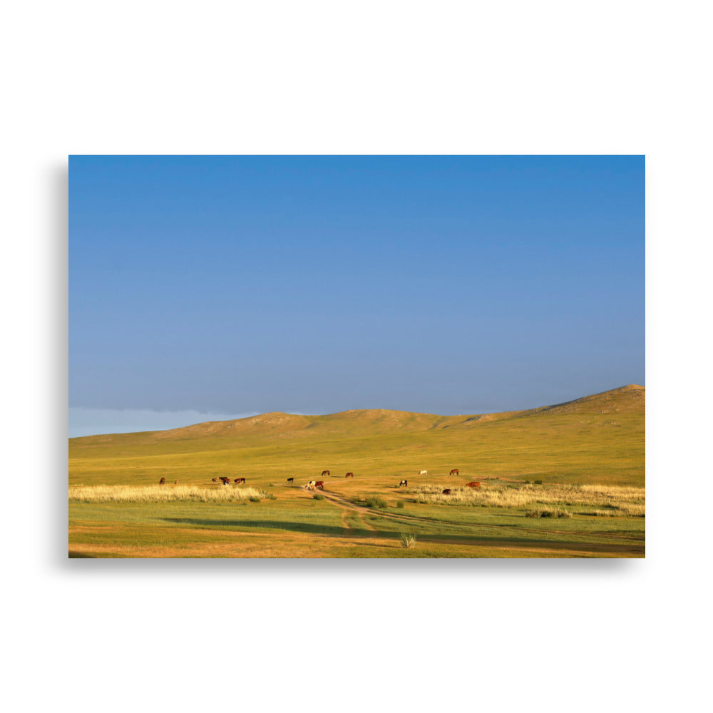 Poster - Steppe on a calm morning, Mongolia Young Han Song 70×100 cm artlia