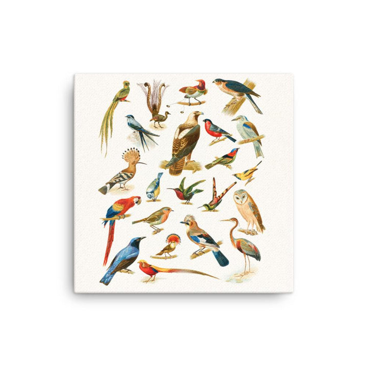 22 Vogelarten - Leinwand Boston Public Library 30x30 cm artlia