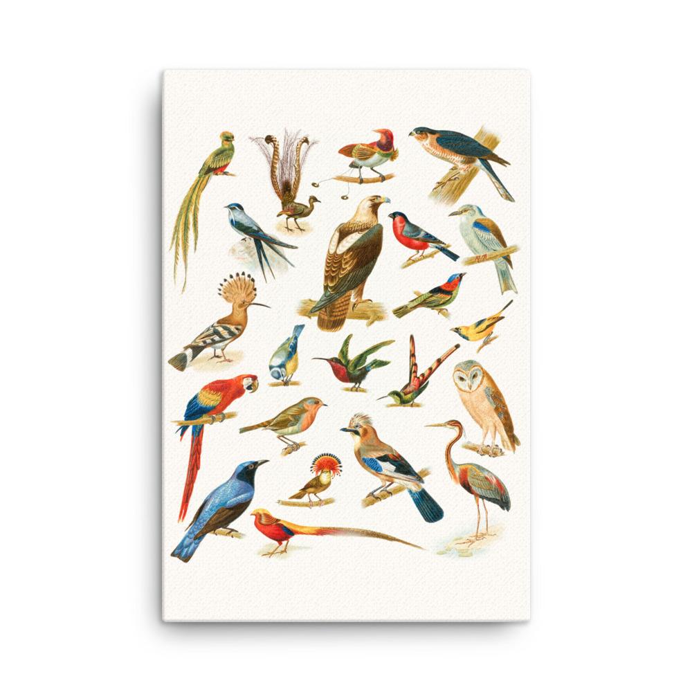 22 Vogelarten - Leinwand Boston Public Library 61x91 cm artlia