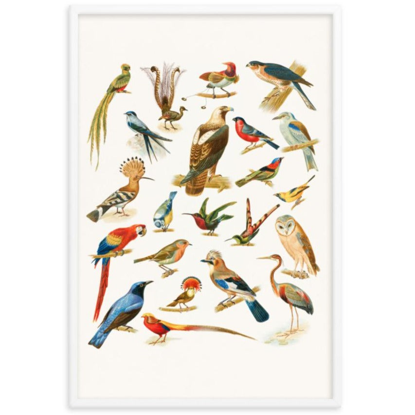 22 Vogelarten - Poster Boston Public Library artlia
