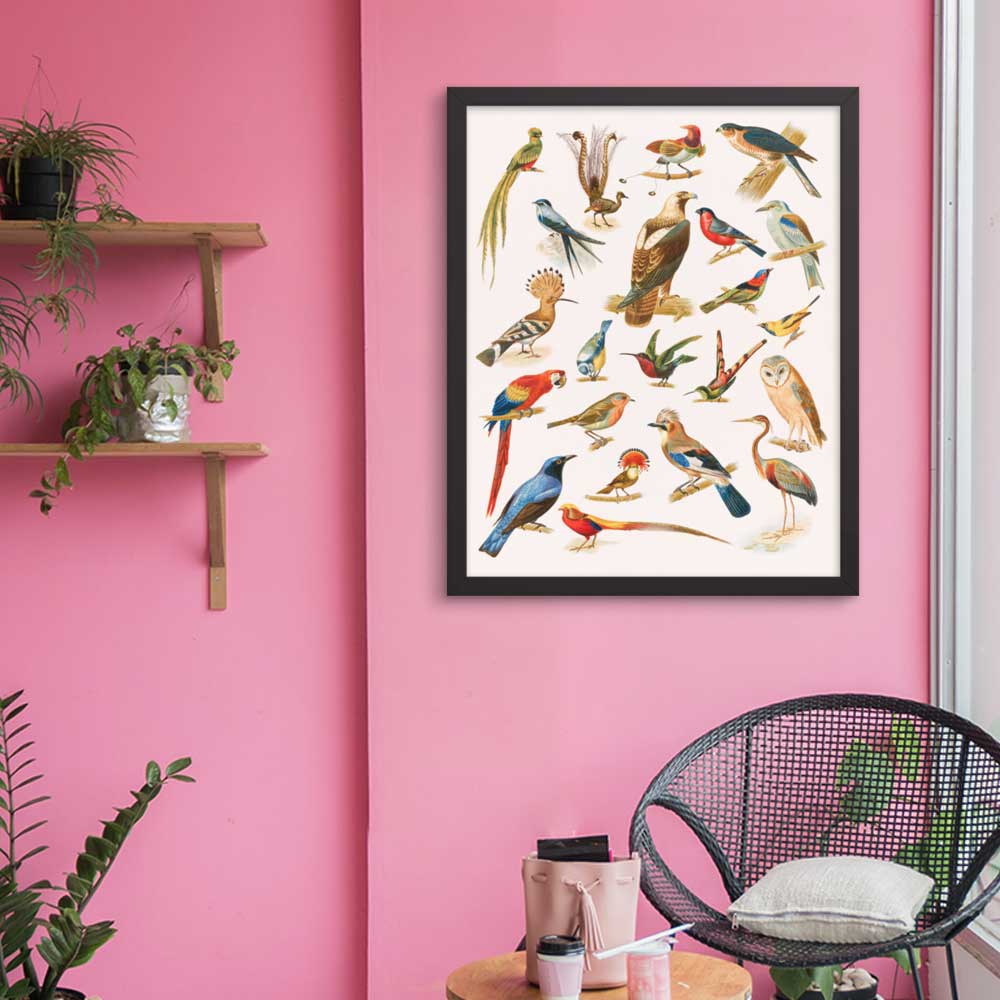 22 Vogelarten - Poster im Rahmen Boston Public Library artlia