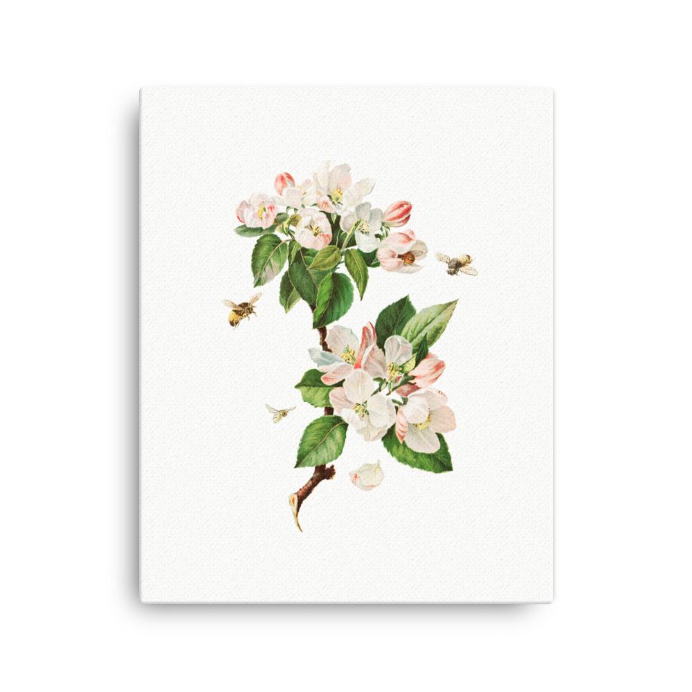 Apfelblüten und Bienen - Leinwand Boston Public Library 41x51 cm artlia