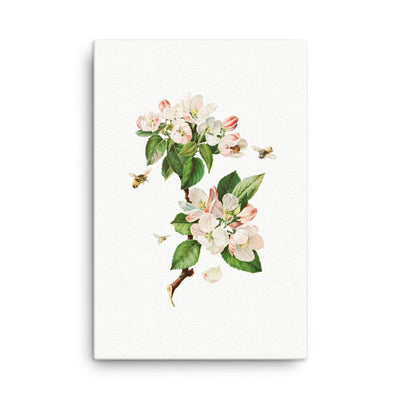 Apfelblüten und Bienen - Leinwand Boston Public Library 61x91 cm artlia