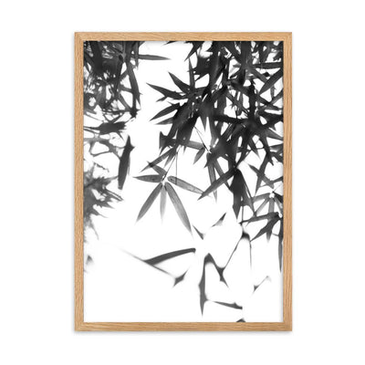 Bamboo Leaves Bambusblätter - Poster im Rahmen artlia Oak / 50×70 cm artlia