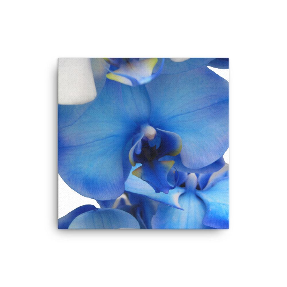Blue Orchid - Leinwand Kuratoren von artlia 30x30 cm artlia