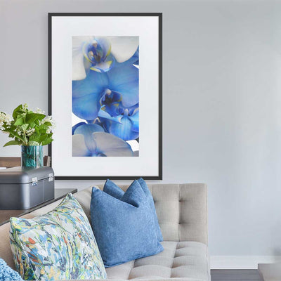Blue Orchid - Poster im Rahmen mit Passepartout Kuratoren von artlia Schwarz / 61×91 cm artlia