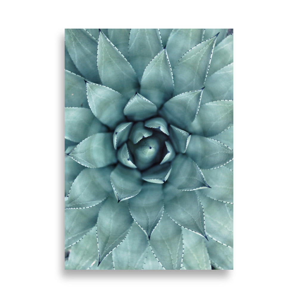 Blumenkaktus - Poster Kuratoren von artlia 70×100 cm artlia