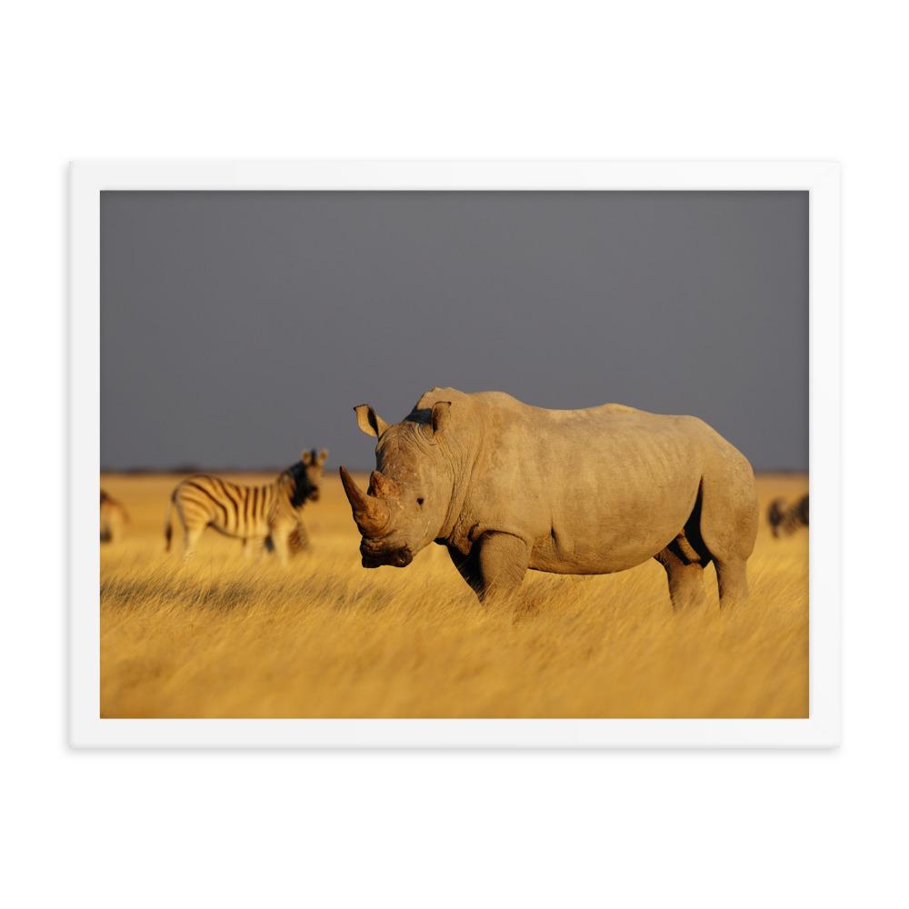 Das Nashorn - Poster im Rahmen Kuratoren von artlia weiß / 46x61 cm artlia