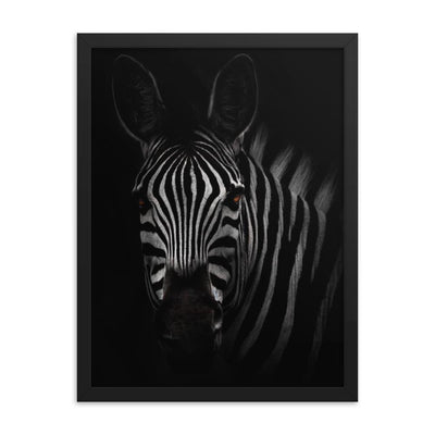 das Starren des Zebras - Poster im Rahmen Kuratoren von artlia schwarz / 30x41 cm artlia