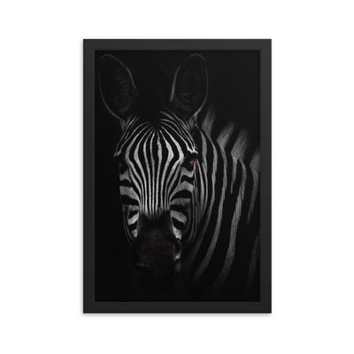das Starren des Zebras - Poster im Rahmen Kuratoren von artlia schwarz / 30x45 cm artlia