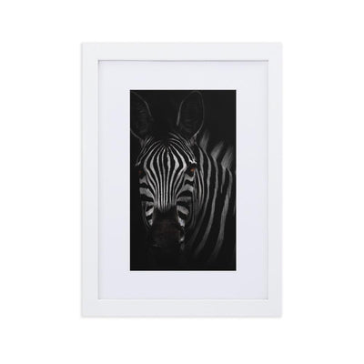 das Starren des Zebras - Poster im Rahmen mit Passepartout Kuratoren von artlia weiß / 21×30 cm artlia