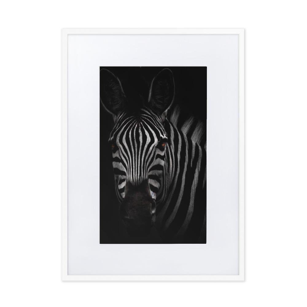 das Starren des Zebras - Poster im Rahmen mit Passepartout Kuratoren von artlia weiß / 50×70 cm artlia