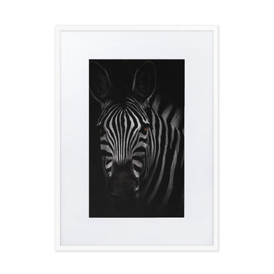 das Starren des Zebras - Poster im Rahmen mit Passepartout Kuratoren von artlia weiß / 50×70 cm artlia