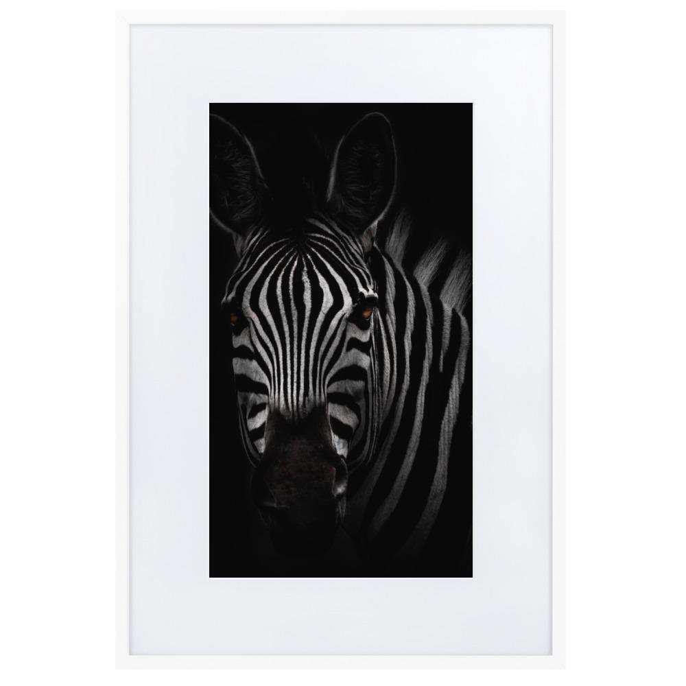 das Starren des Zebras - Poster im Rahmen mit Passepartout Kuratoren von artlia weiß / 61×91 cm artlia