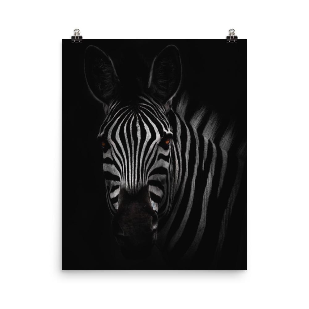 das Starren des Zebras - Poster Kuratoren von artlia 20x25 cm artlia