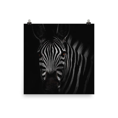 das Starren des Zebras - Poster Kuratoren von artlia 25x25 cm artlia