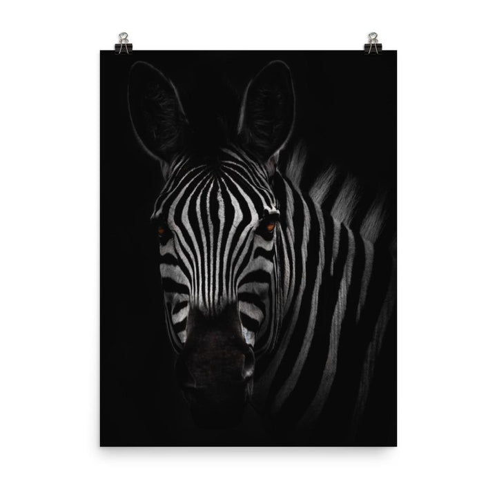 das Starren des Zebras - Poster Kuratoren von artlia 30x41 cm artlia