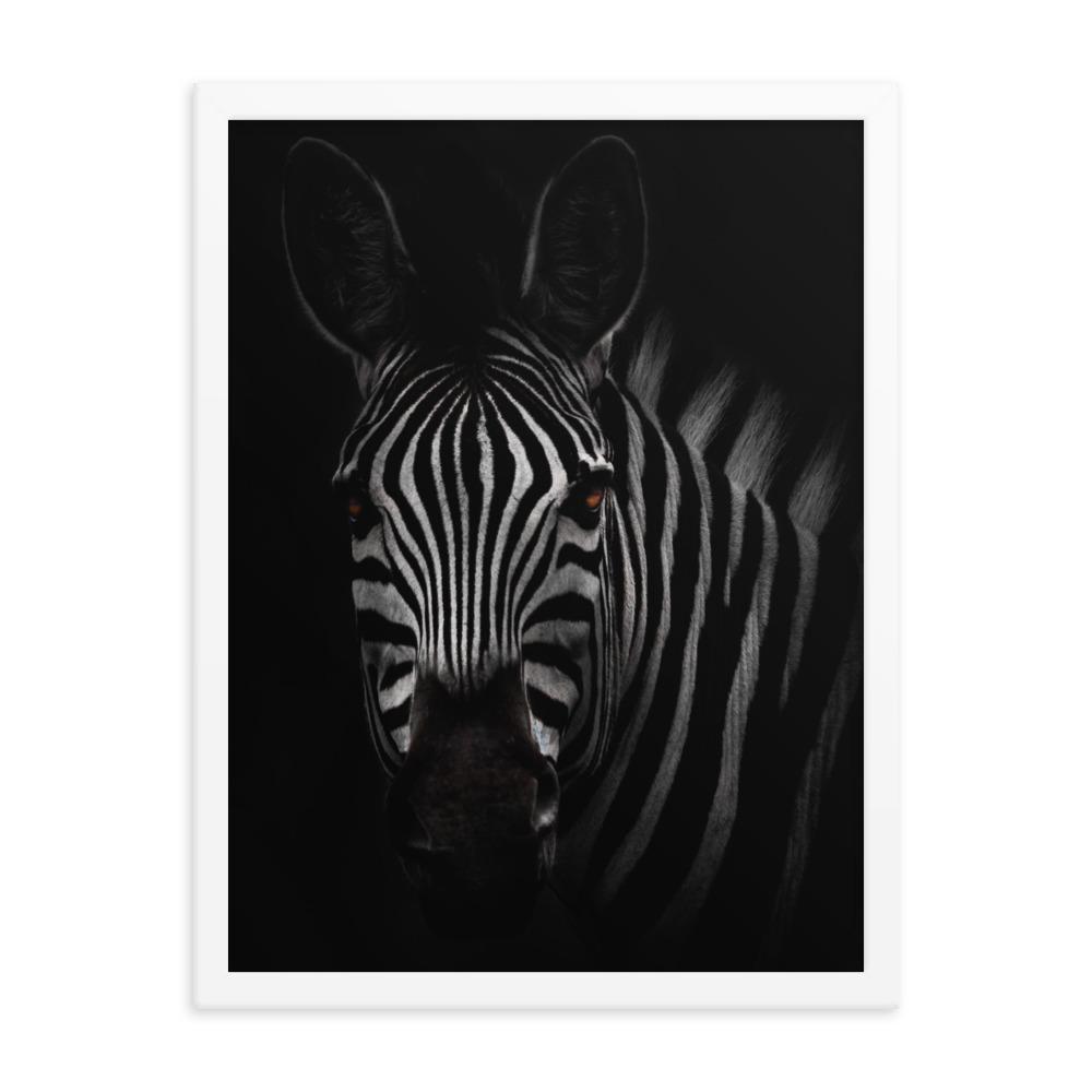 das Starren des Zebras - Poster Kuratoren von artlia artlia