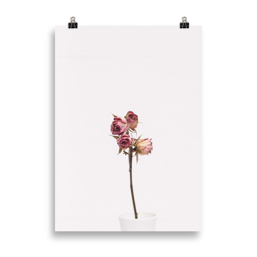 Dry Roses Trockenrosen - Poster artlia 50×70 cm artlia