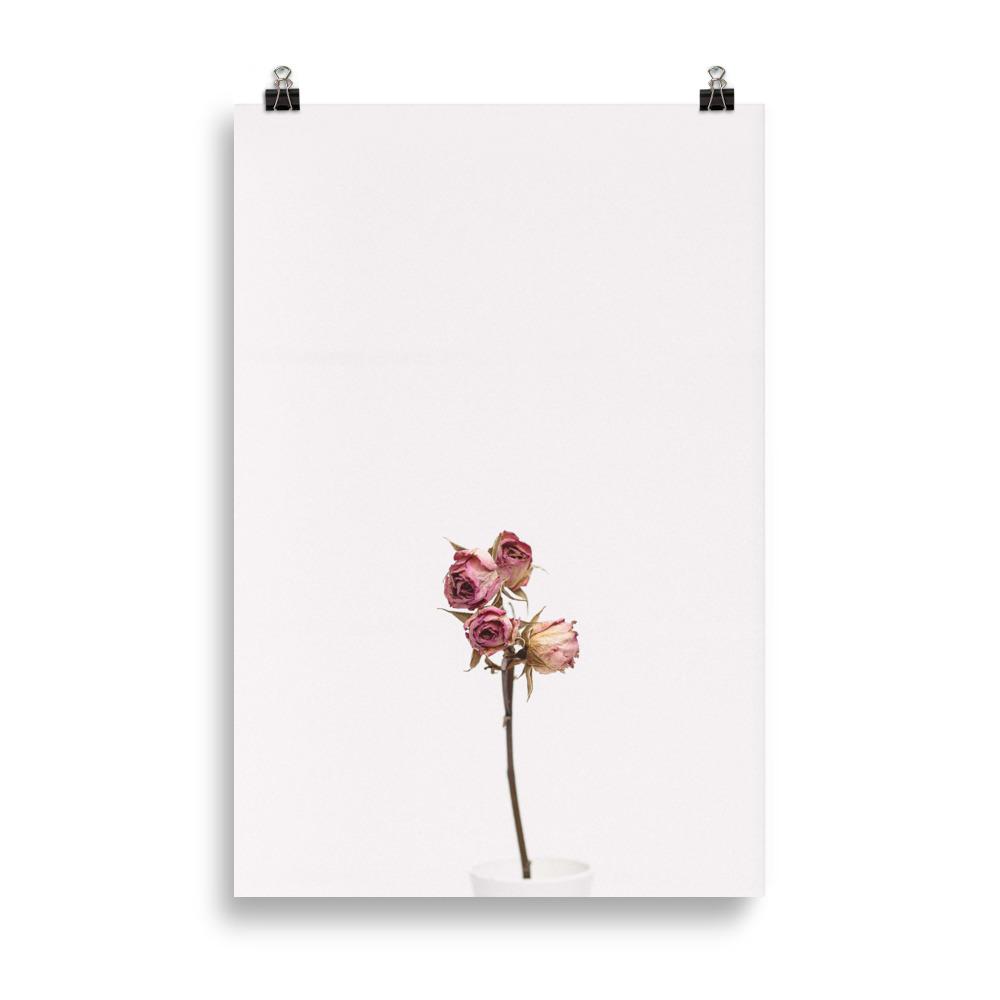 Dry Roses Trockenrosen - Poster artlia 61×91 cm artlia