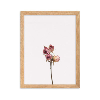 Dry Roses Trockenrosen - Poster im Rahmen artlia Oak / 30×40 cm artlia