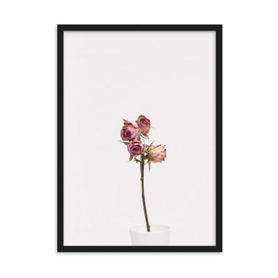 Dry Roses Trockenrosen - Poster im Rahmen artlia Schwarz / 50×70 cm artlia
