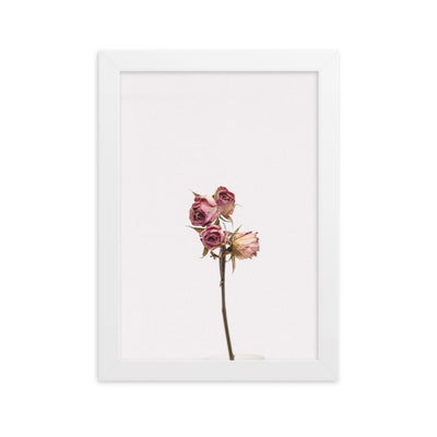Dry Roses Trockenrosen - Poster im Rahmen artlia Weiß / 21×30 cm artlia
