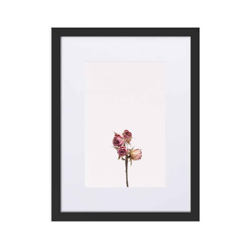 Dry Roses Trockenrosen - Poster im Rahmen mit Passepartout artlia Schwarz / 30×40 cm artlia