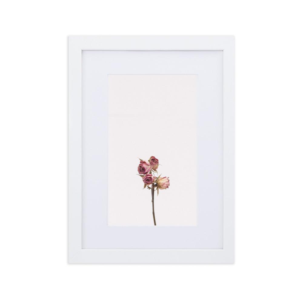 Dry Roses Trockenrosen - Poster im Rahmen mit Passepartout artlia Weiß / 21×30 cm artlia