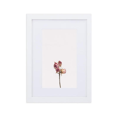 Dry Roses Trockenrosen - Poster im Rahmen mit Passepartout artlia Weiß / 21×30 cm artlia