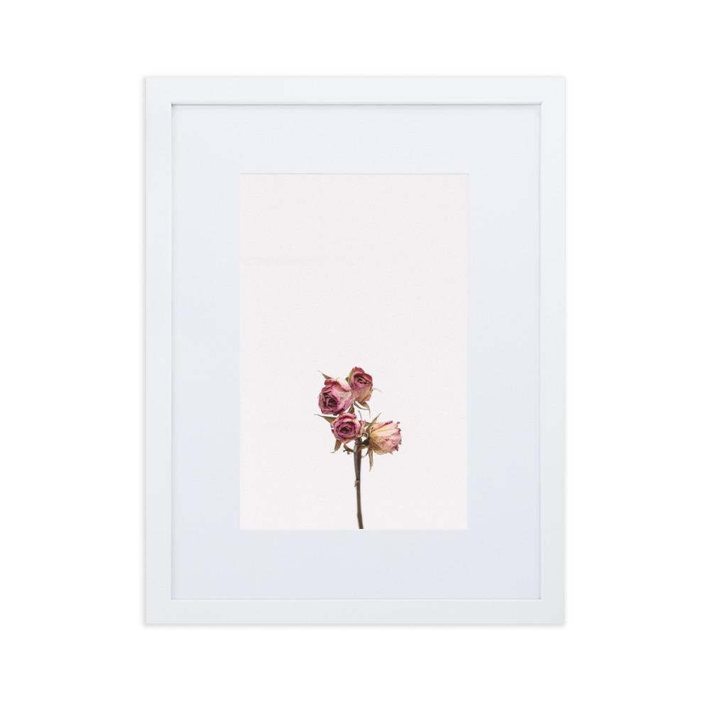 Dry Roses Trockenrosen - Poster im Rahmen mit Passepartout artlia Weiß / 30×40 cm artlia