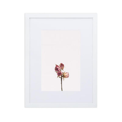 Dry Roses Trockenrosen - Poster im Rahmen mit Passepartout artlia Weiß / 30×40 cm artlia