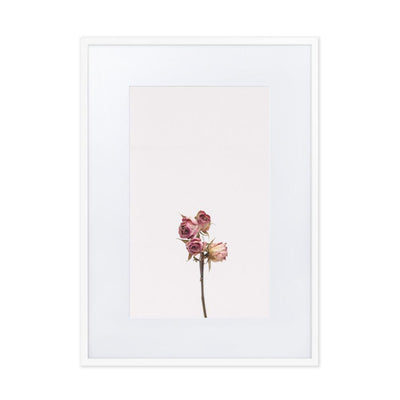 Dry Roses Trockenrosen - Poster im Rahmen mit Passepartout artlia Weiß / 50×70 cm artlia