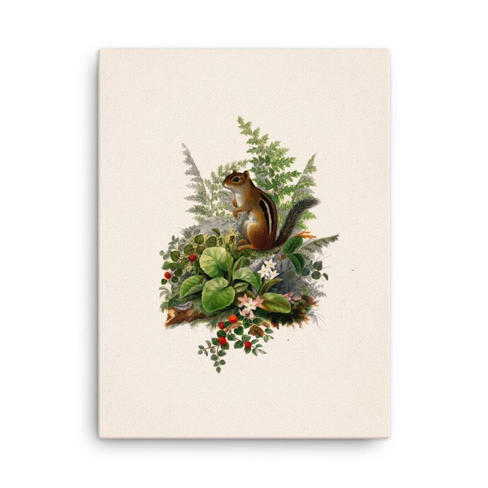 Eichhörnchen - Leinwand Boston Public Library 30x41 cm artlia