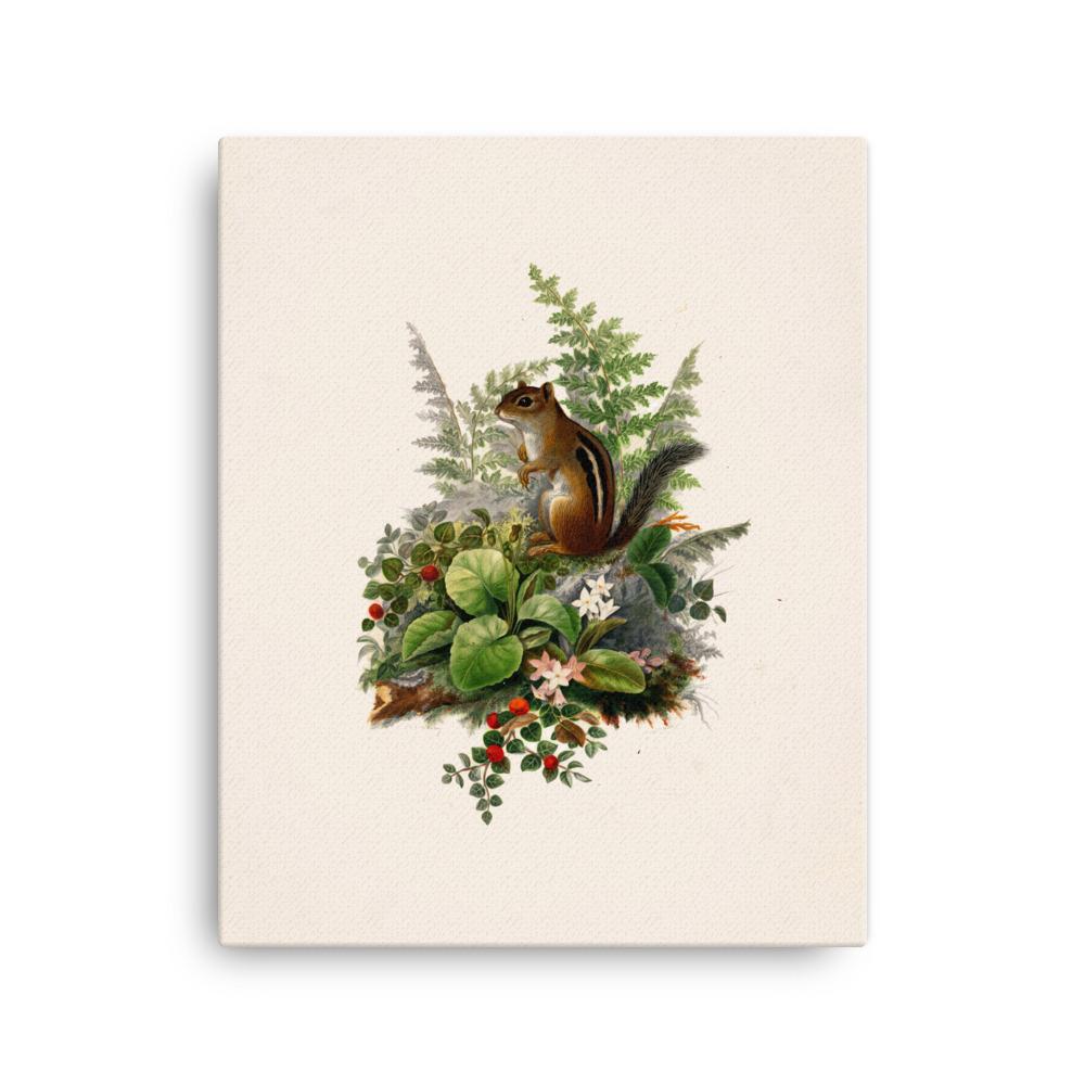 Eichhörnchen - Leinwand Boston Public Library 41x51 cm artlia