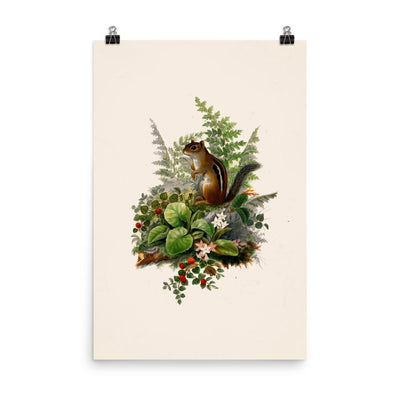 Eichhörnchen - Poster Boston Public Library 30x45 cm artlia