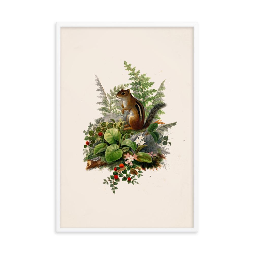 Eichhörnchen - Poster Boston Public Library artlia